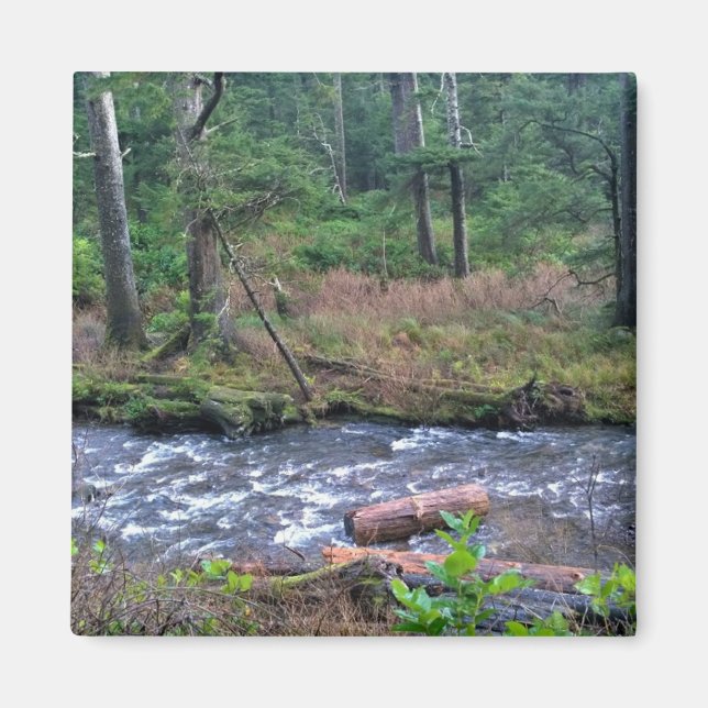 Oswald West State Park Oregon Coast Magnet (Vorne)