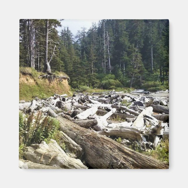 Oswald West State Park Oregon Coast Magnet (Vorne)