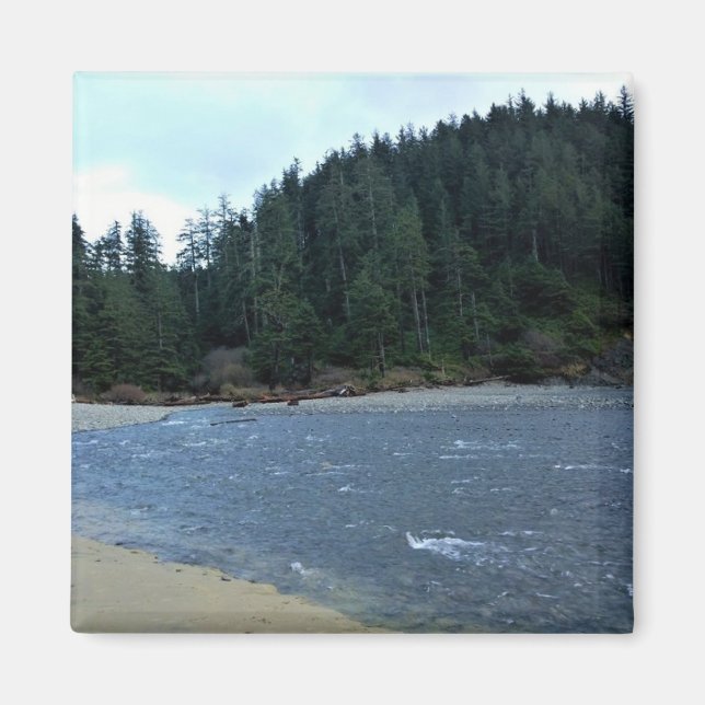 Oswald West State Park Oregon Coast Magnet (Vorne)