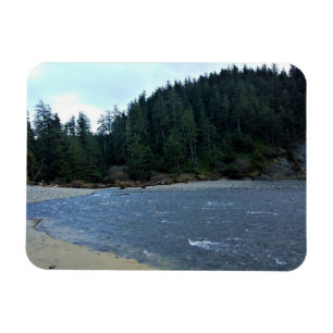 Oswald West State Park Oregon Coast Magnet