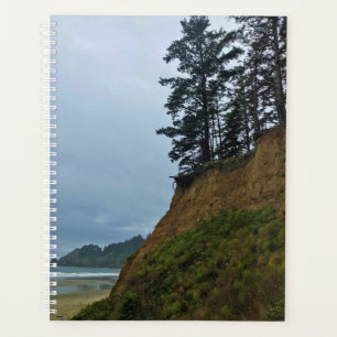 Oswald West State Park Oregon Coast Planer