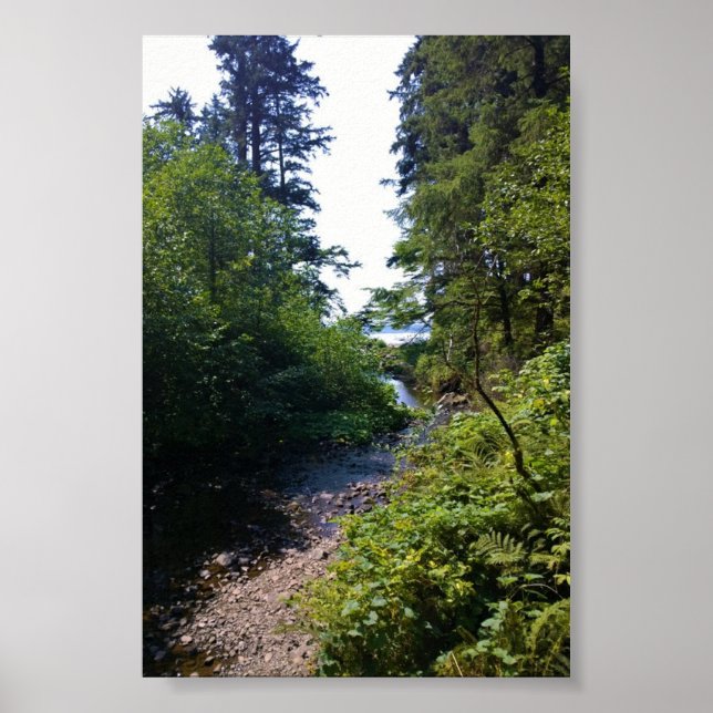 Oswald West State Park Oregon Coast Poster (Vorne)