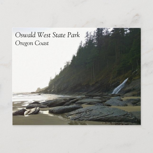 Oswald West State Park Oregon Coast Postkarte (Vorderseite)