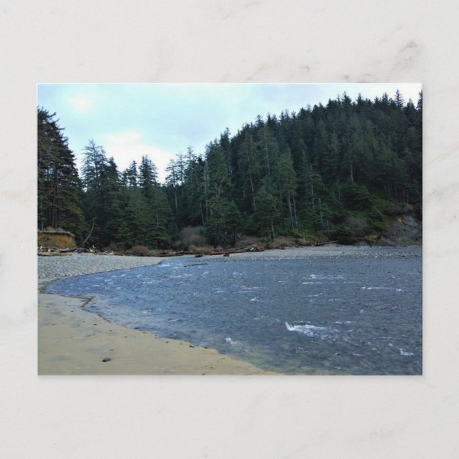Oswald West State Park Oregon Coast Postkarte (Vorderseite)