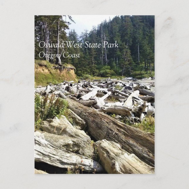 Oswald West State Park Oregon Coast Postkarte (Vorderseite)