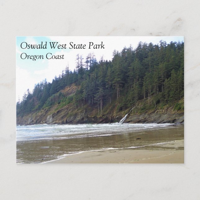 Oswald West State Park Oregon Coast Postkarte (Vorderseite)