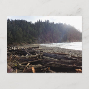 Oswald West State Park Oregon Coast Postkarte