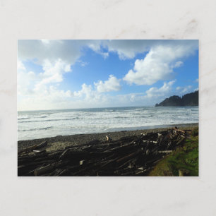 Oswald West State Park Oregon Coast Postkarte