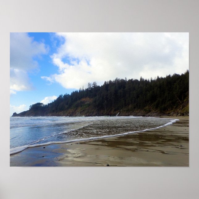 Oswald West State Park, Oregon-Küste Poster (Vorne)