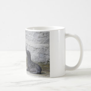 Otaria flavescens kaffeetasse