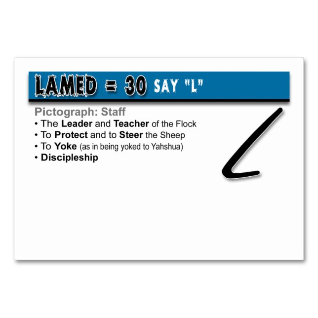 Otiot Flash Cards: 12 von 22 Tischnummer (Rückseite)