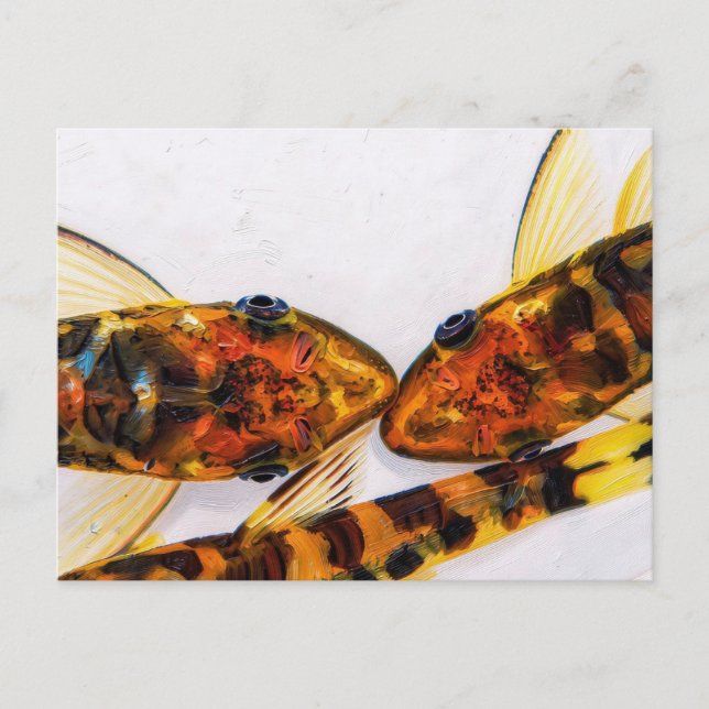 Otocinclus-Zebra-Fischbecken Postkarte (Vorderseite)