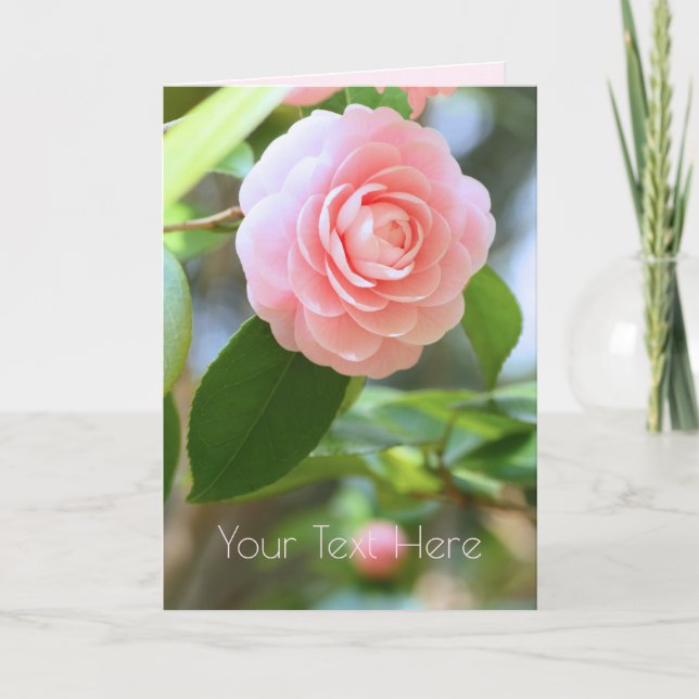 Otome-tsubaki: Camellia [Greeting Card] Karte (Vorderseite)
