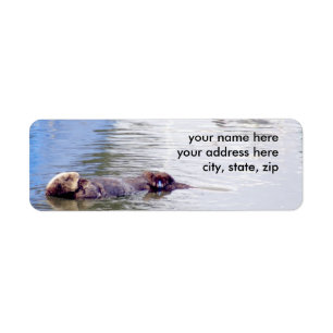 Otter