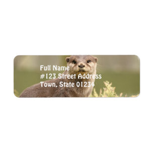 Otter-Adressen-Etiketten