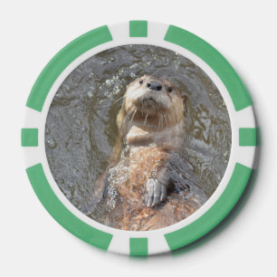 Otter Back Float Pokerchips