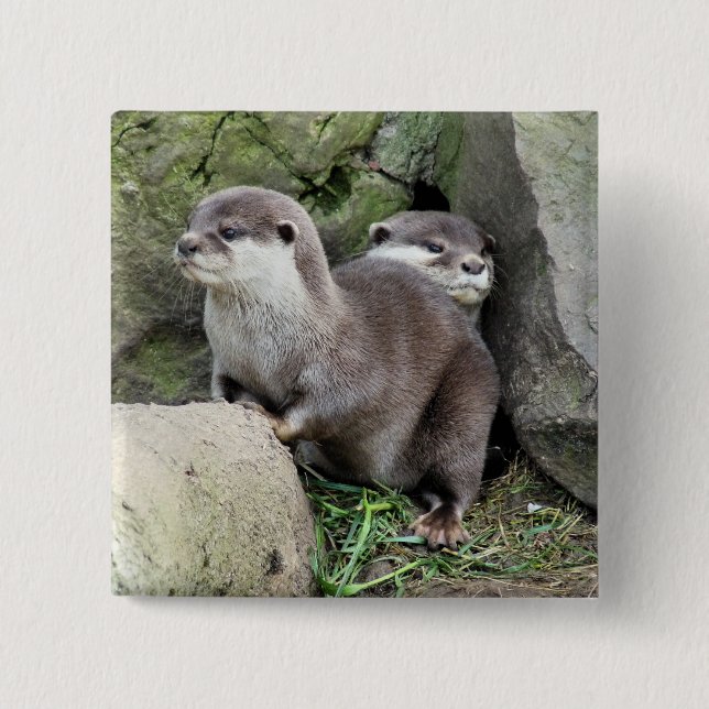 OTTER BUTTON (Vorderseite)