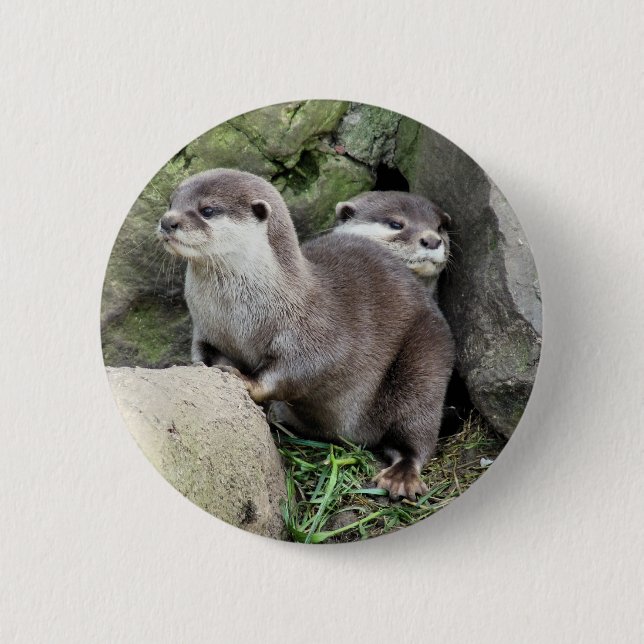 OTTER BUTTON (Vorderseite)