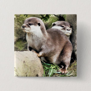 OTTER BUTTON