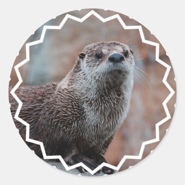 Otter-Foto-Aufkleber Runder Aufkleber (Vorderseite)