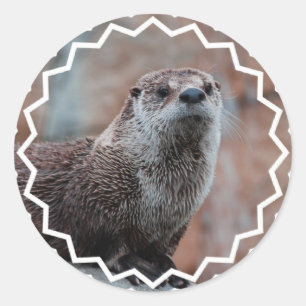 Otter-Foto-Aufkleber Runder Aufkleber