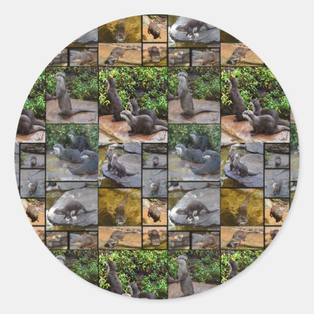 Otter Foto Collage Round Stickers. Runder Aufkleber (Vorderseite)