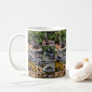 Otter Foto Collage, White Coffee Tasse
