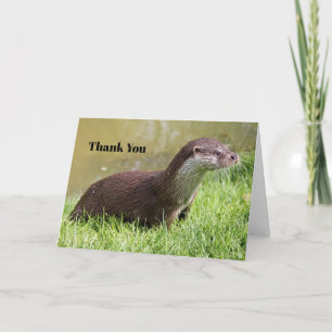 Otter Grass Wildlife Foto Dankeskarte