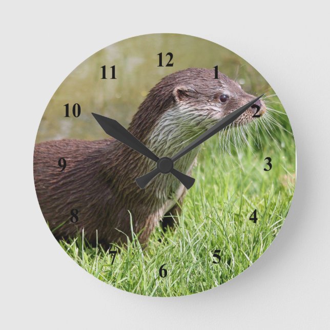 Otter Grass Wildlife Foto Runde Wanduhr (Vorderseite)