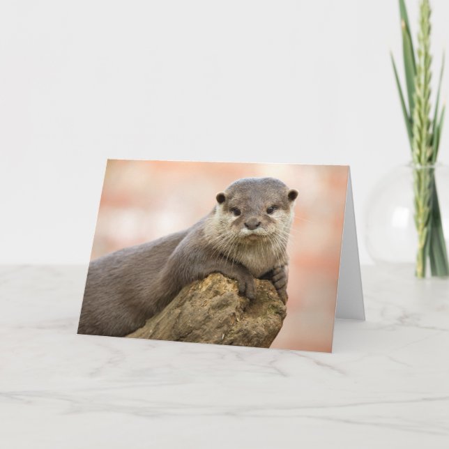 Otter Greetings Card Karte (Vorderseite)