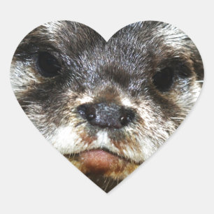 Otter Herz-Aufkleber