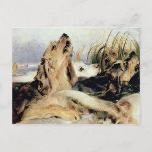 Otter Hounds Postkarte