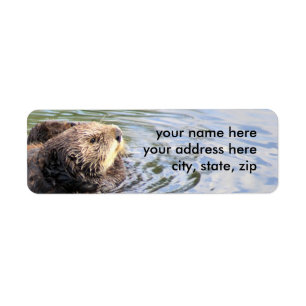 Otter im Profil