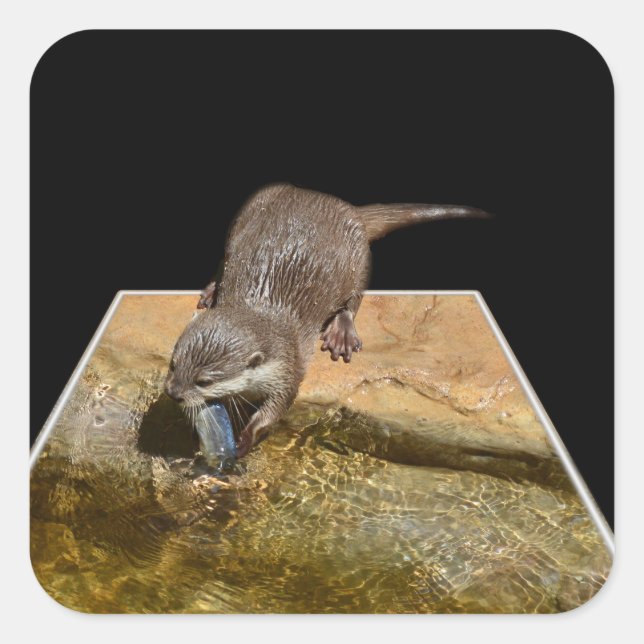 Otter isst leckere Fisch Popout Art Square Sticker (Vorderseite)