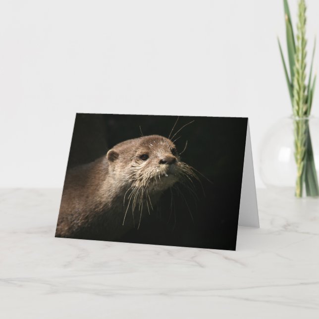 Otter Karte (Vorderseite)