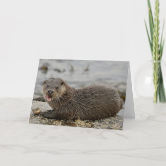 Otter Karte
