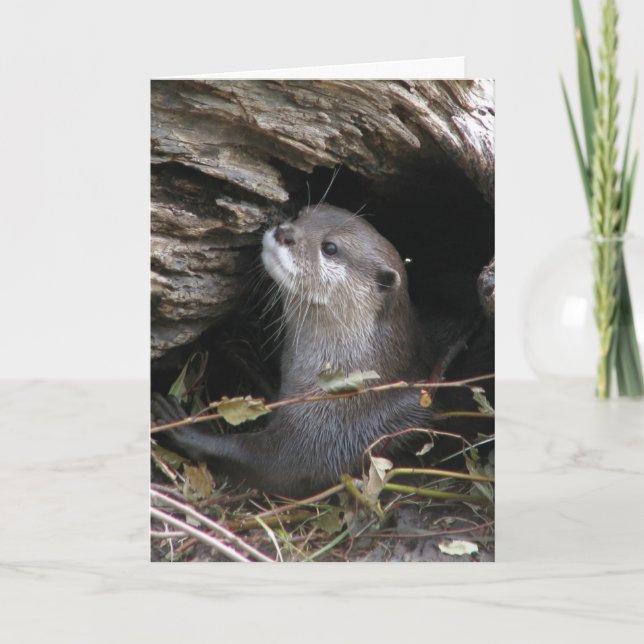 Otter-ly Delightful Karte (Vorderseite)