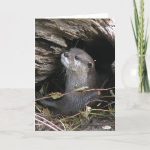 Otter-ly Delightful Karte