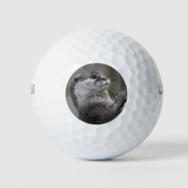 Otter Mastermind Golfball (Vorderseite)