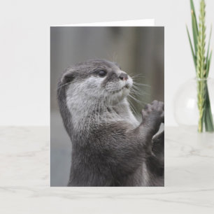 Otter Mastermind Grußkarte Karte