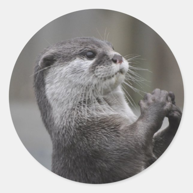Otter Mastermind Sticker (Vorderseite)