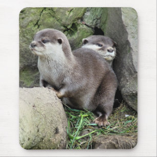 OTTER MOUSEPAD