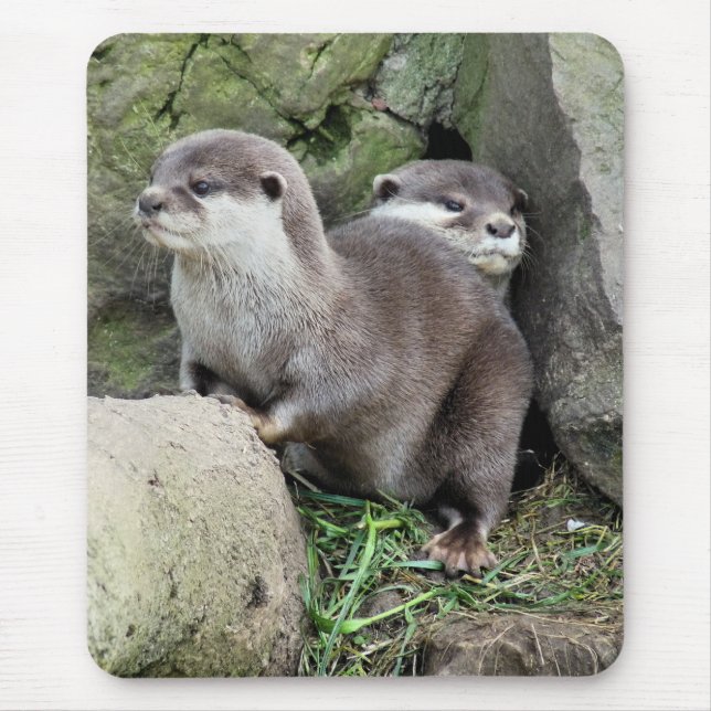 OTTER MOUSEPAD (Vorne)