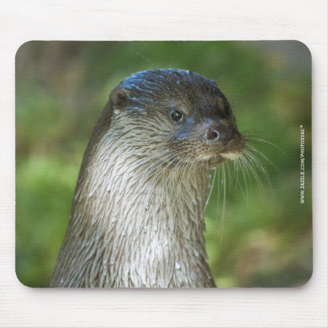 Otter Mousepad (Vorne)