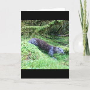 Otter-Naturszene Fluss-Wildlife-Illustration Karte