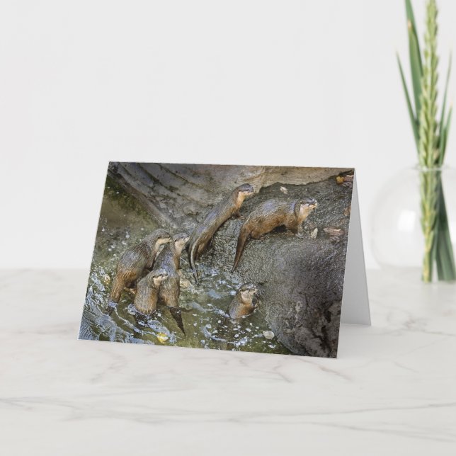 Otter Pack Grußkarte Karte (Vorderseite)