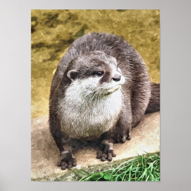 OTTER POSTER (Vorne)