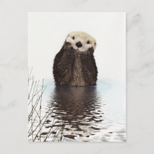 Otter Postkarte