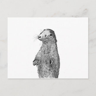 Otter Postkarte