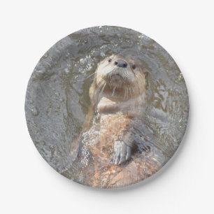 Otter-Rückseiten-Floss Pappteller